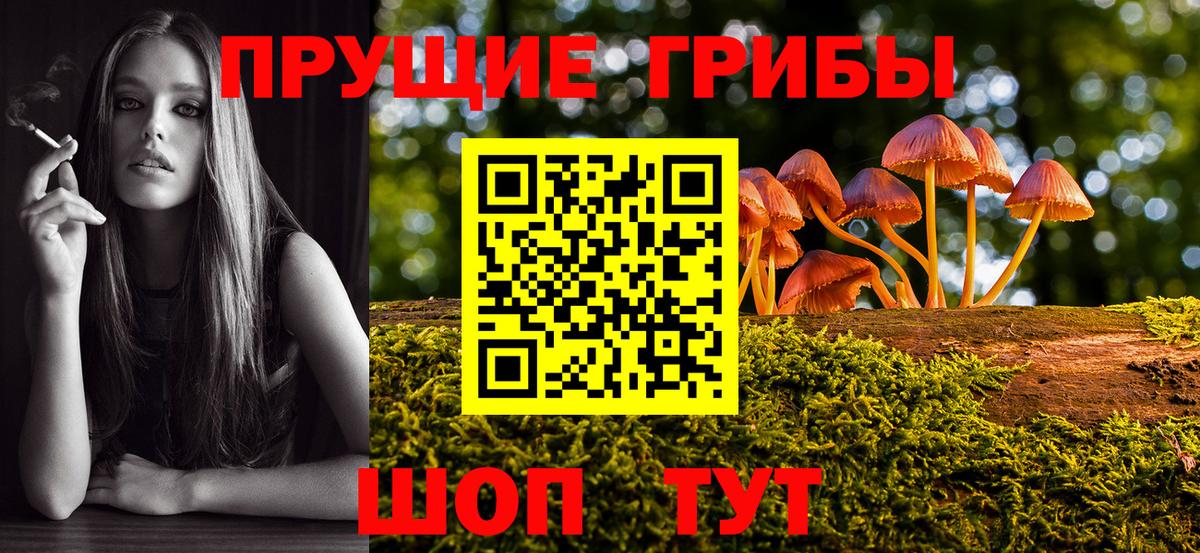 Галлюциногенные грибы GOLDEN TEACHER Калининград